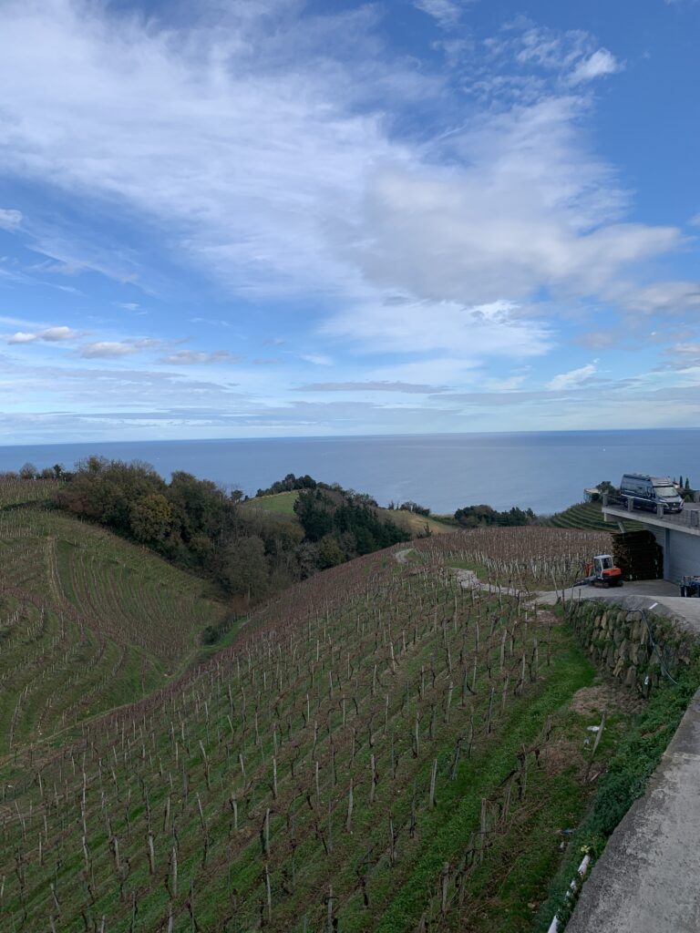 大西洋を望むオンダラビ・スリのブドウ畑 Photo by World Wine With(筆者撮影)