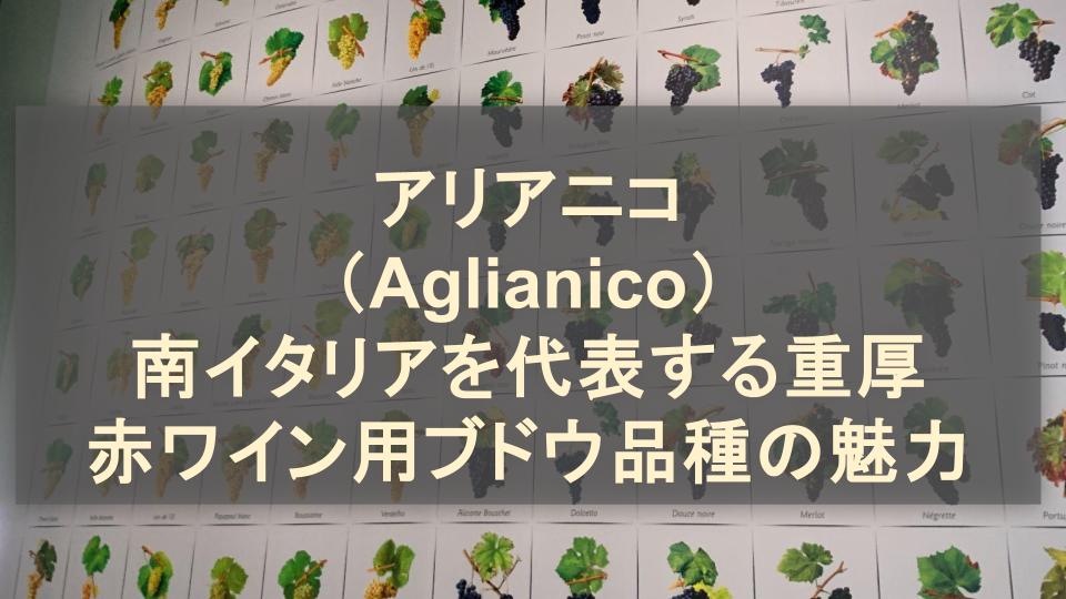 アリアニコ（Aglianico）│南イタリアを代表する重厚赤ワイン用ブドウ品種の魅力