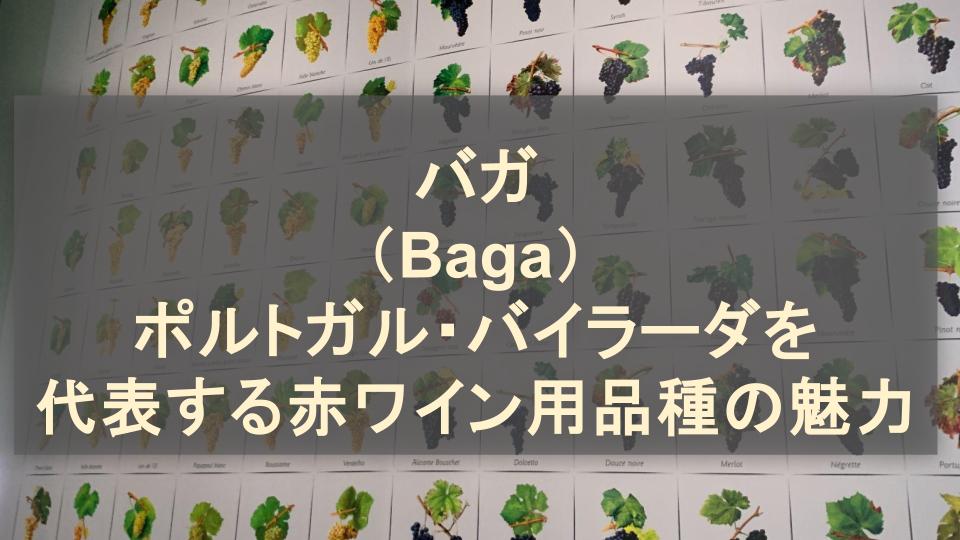 バガ（Baga）│ポルトガルを代表する赤ワイン用品種の魅力