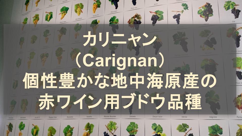 カリニャン（Carignan）│個性豊かな地中海原産の赤ワイン用ブドウ品種