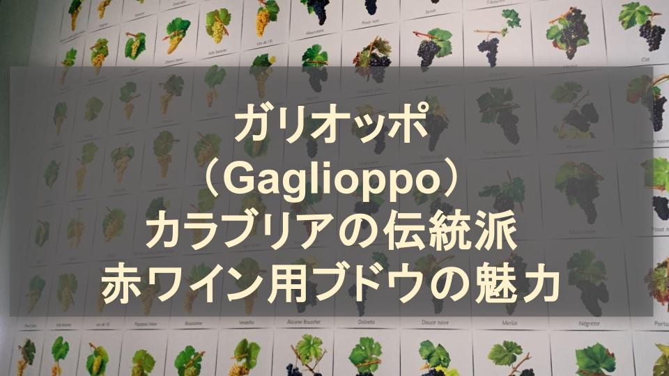 ガリオッポ（Gaglioppo）│カラブリアの伝統派赤ワイン用ブドウの魅力