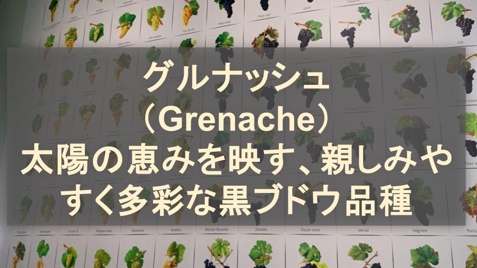 グルナッシュ（Grenache）│太陽の恵みを映す、親しみやすく多彩な赤ワイン用ブドウ品種