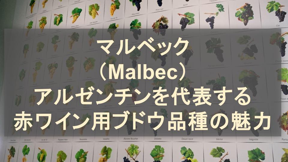マルベック（Malbec）│アルゼンチンを代表する赤ワイン用ブドウ品種の魅力