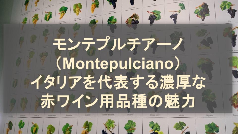 モンテプルチアーノ（Montepulciano）│イタリアを代表する濃厚な赤ワイン用品種の魅力