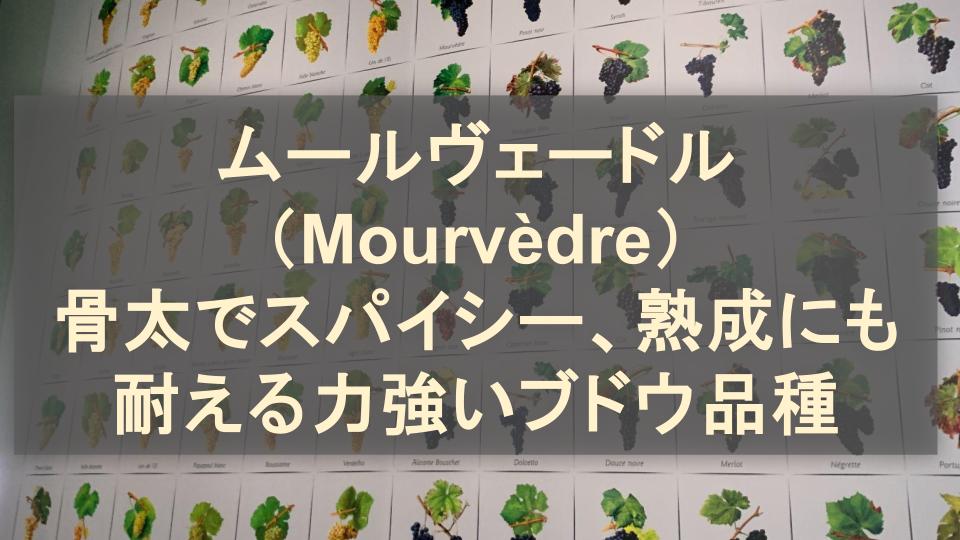 ムールヴェードル（Mourvèdre）│骨太でスパイシー、熟成にも耐える力強い赤ワイン用ブドウ品種