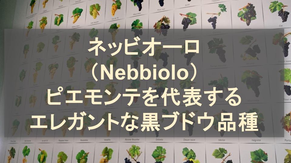 ネッビオーロ（Nebbiolo）│ピエモンテを代表するエレガントな黒ブドウ品種