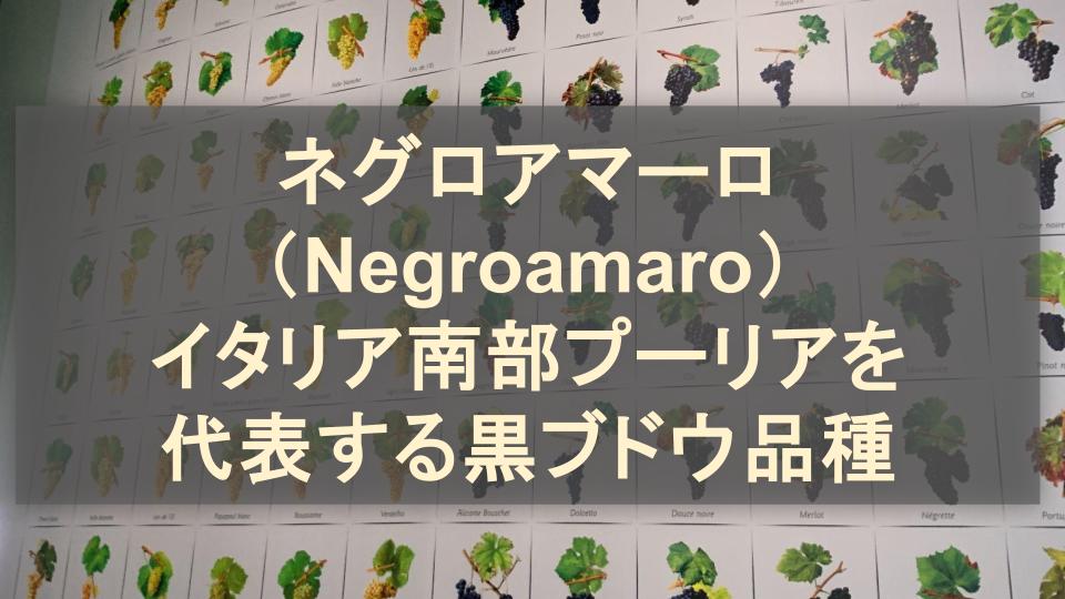 ネグロアマーロ（Negroamaro）とは？イタリア南部プーリア州を代表する黒ブドウ品種