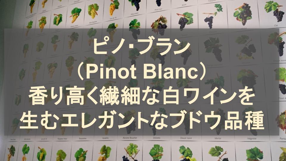 ピノ・ブラン（Pinot Blanc）│香り高く繊細な白ワインを生むエレガントなブドウ品種
