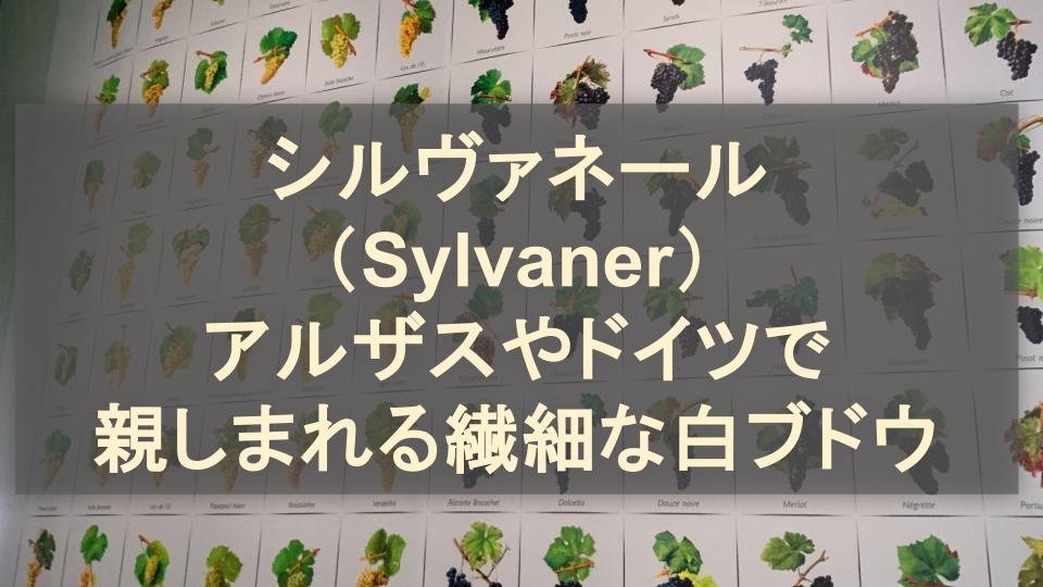 シルヴァネール（Sylvaner）│アルザスやドイツで親しまれる繊細な白ワイン用ブドウ品種