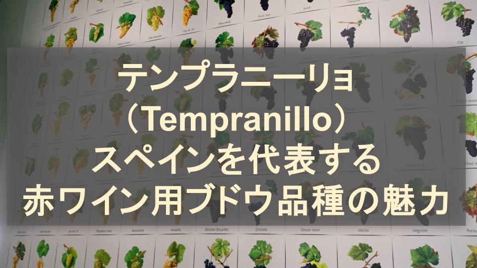 テンプラニーリョ（Tempranillo）│スペインを代表する赤ワイン用ブドウ品種の魅力