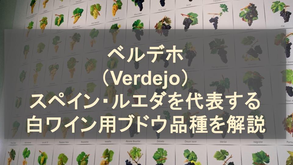 ベルデホ（Verdejo）│スペインを代表する白ワイン用ブドウ品種を解説