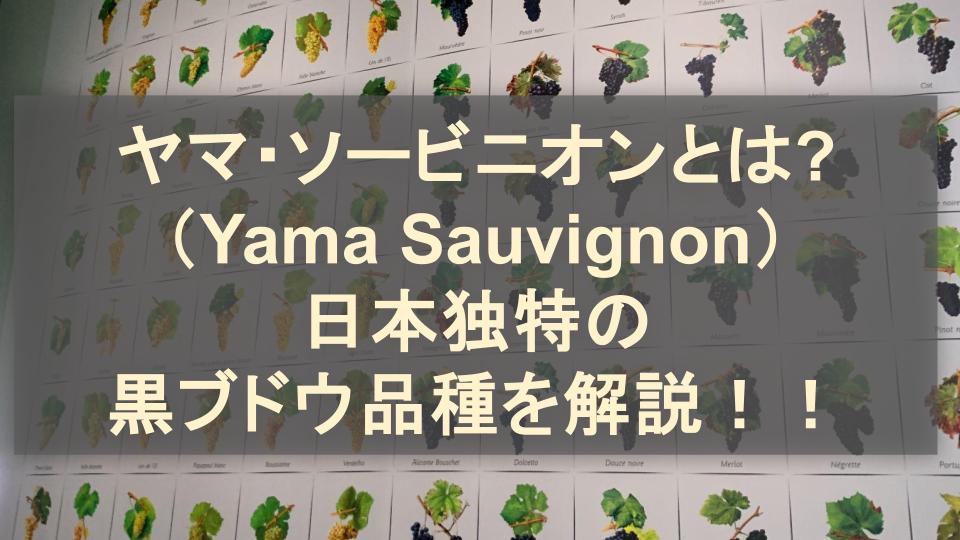 yamasauvignon