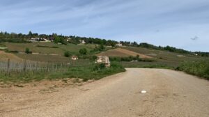 著者が訪れたフランス・ブルゴーニュの風景