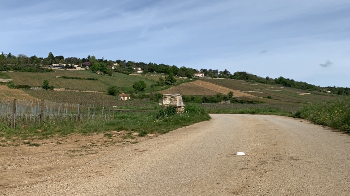 著者が訪れたフランス・ブルゴーニュの風景