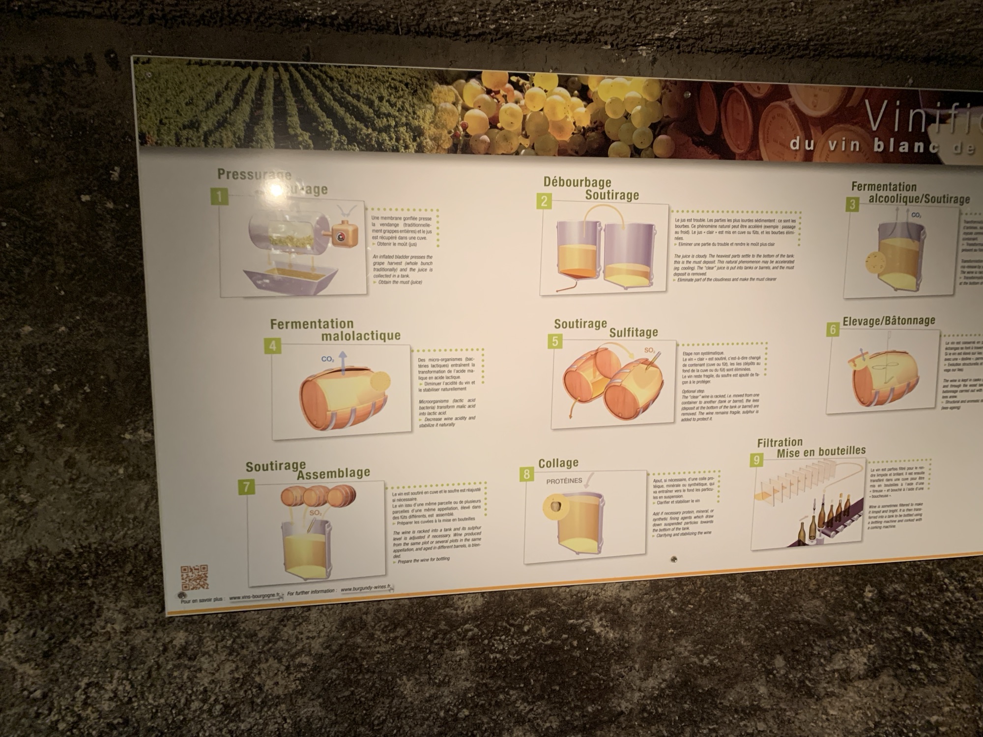 Winemaking-image